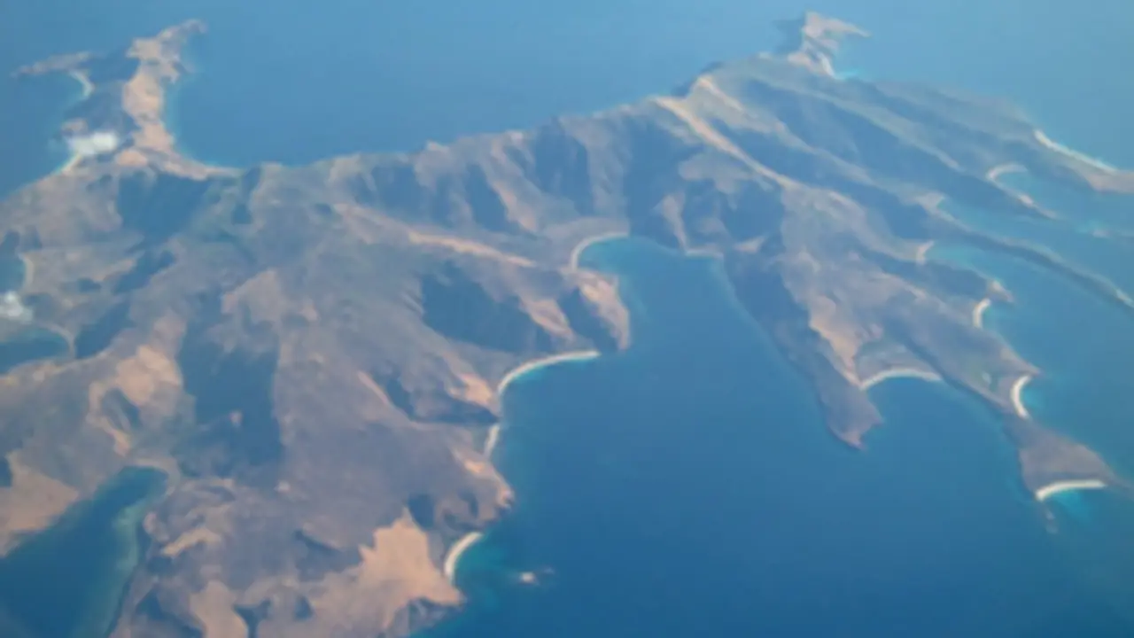 131203bflores.jpg