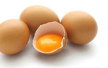 Benarkah Kuning Telur Penyebab Utama Kolesterol Tinggi? Kenali Nutrisi & Dampaknya