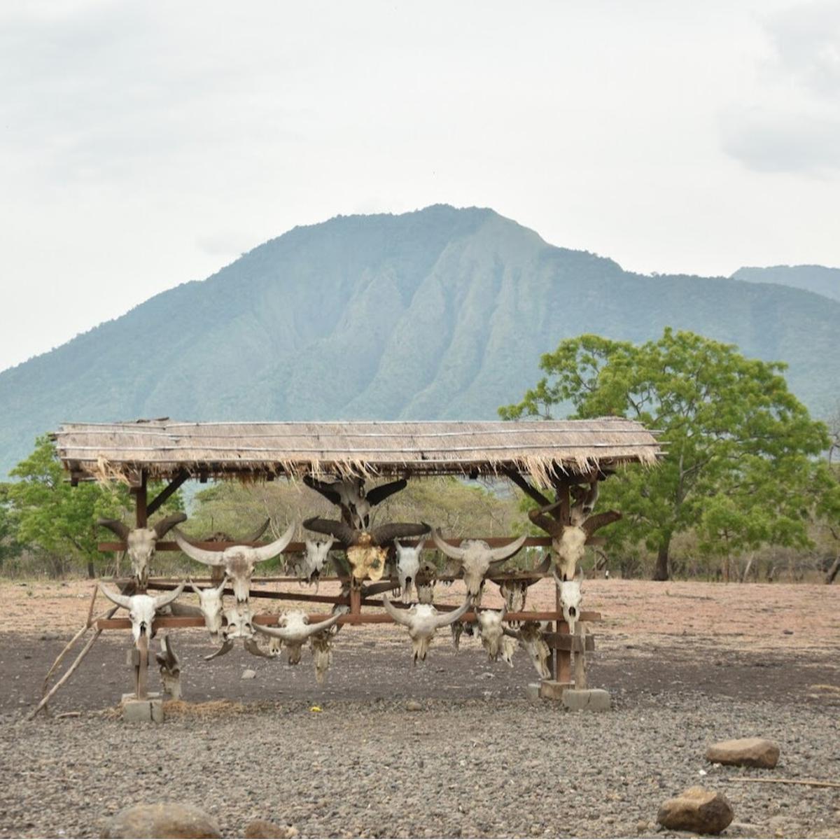 Taman Nasional Baluran