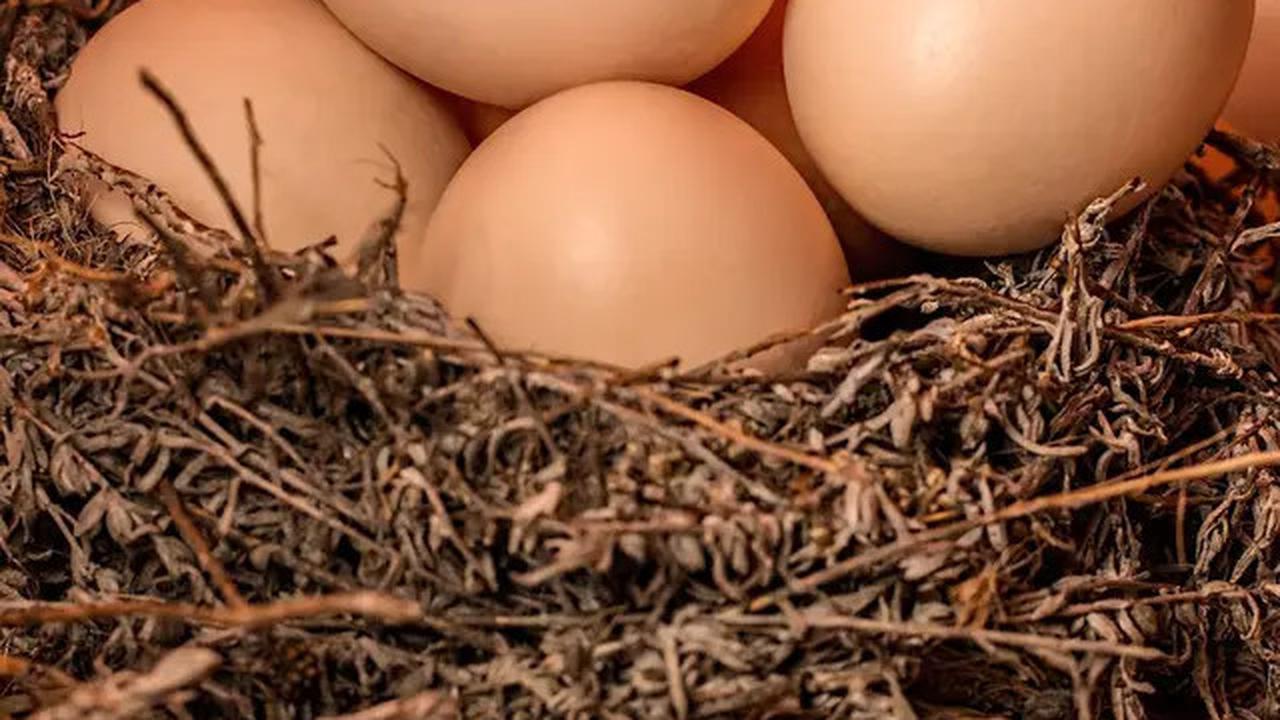 7 Makanan yang Membantu Mengempiskan Perut Buncit Secara Alami dan Efektif