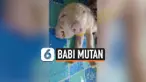 vertical babi