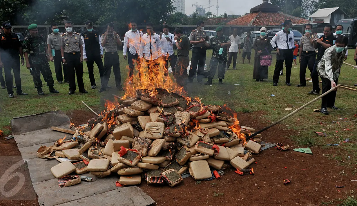 Petugas membakar kemasan ganja di Mapolsek Palmerah, Jakarta Barat, Senin (15/6/2015). Barang bukti yang dimusnahkan berupa 10.286 botol miras, 561 kg ganja, 1,4 kg sabu, 7.668 butir ekstasi, 1.000 butir psikotropika. (Liputan6.com/Johan Tallo)