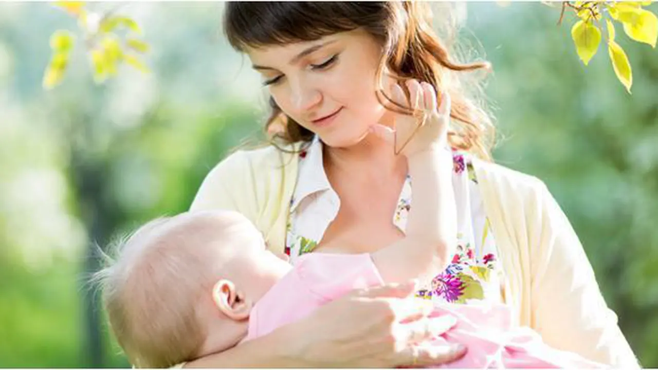 Foto : Copyright shutterstock.com