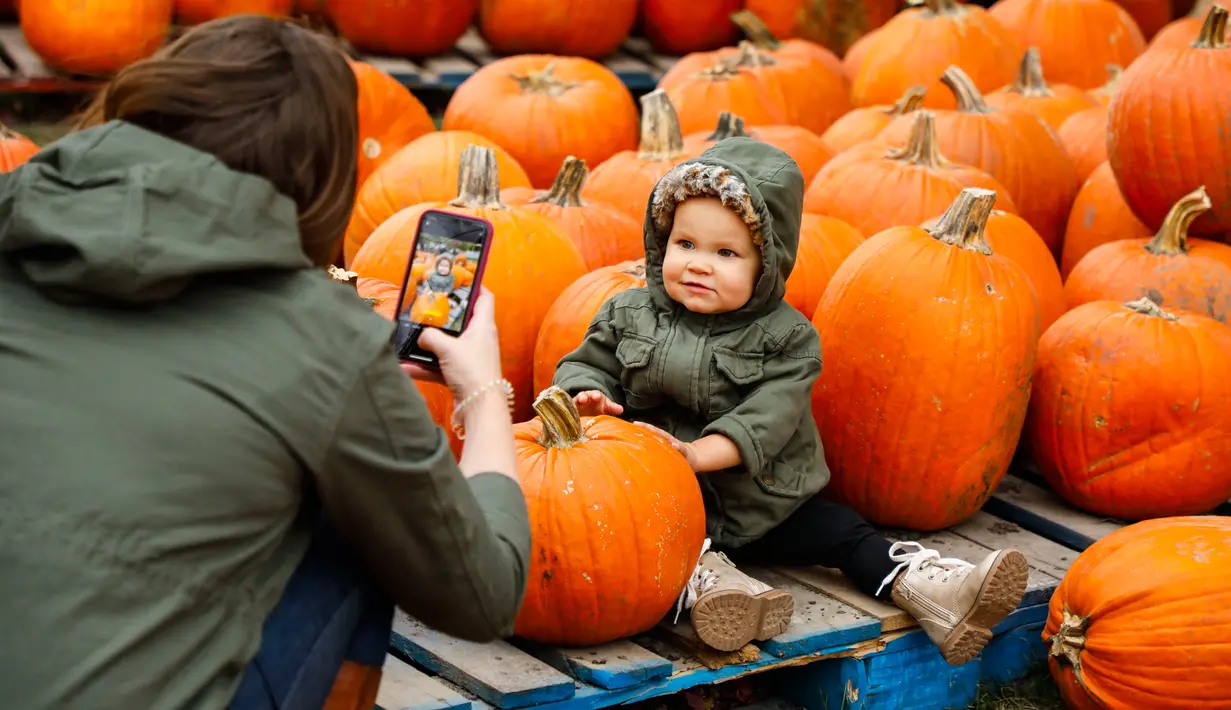 Seorang anak berpose untuk difoto bersama labu di sebuah festival labu, atau dikenal sebagai Pumpkinfest, di Lincolnshire, Illinois, Amerika Serikat (AS), pada 17 Oktober 2020. Belakangan ini, banyak kota di Illinois menggelar festival labu menjelang perayaan Halloween. (Xinhua/Joel Lerner)
