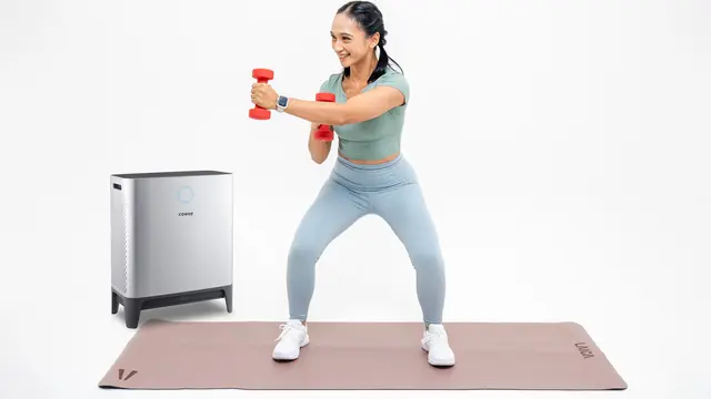 TRIPLE POWER (AP-2318D) Coway