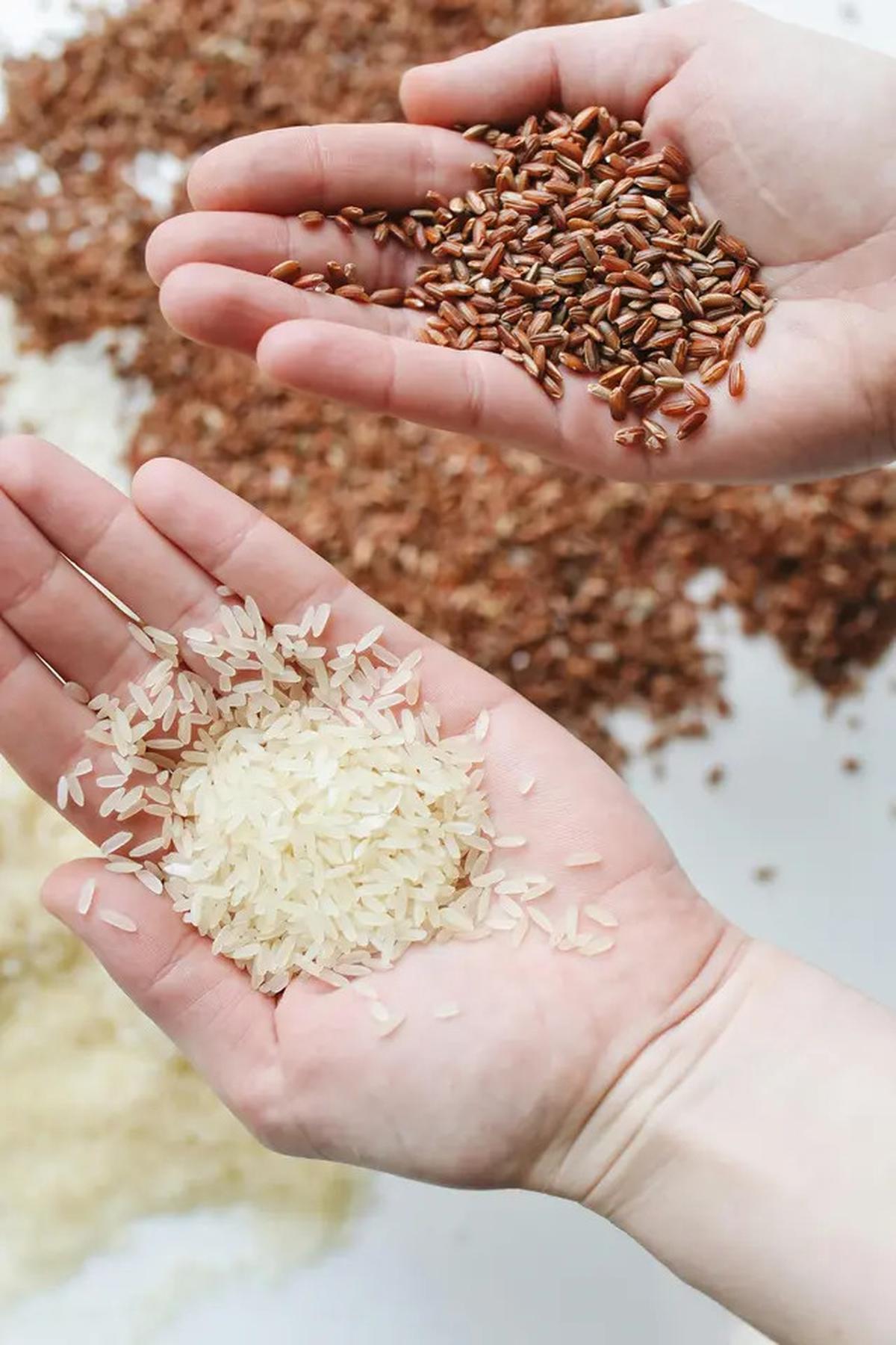 Cara Menanak Nasi dengan Bawang Putih untuk Menurunkan Kadar Kolesterol