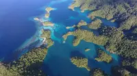 Kepulauan Gurici, salah satu spot menyelam di Halmahera Selatan yang menjadi tempat favorit untuk menemui Manta. (dok. Dinas Pariwisata Halmahera Selatan/Dinny Mutiah)