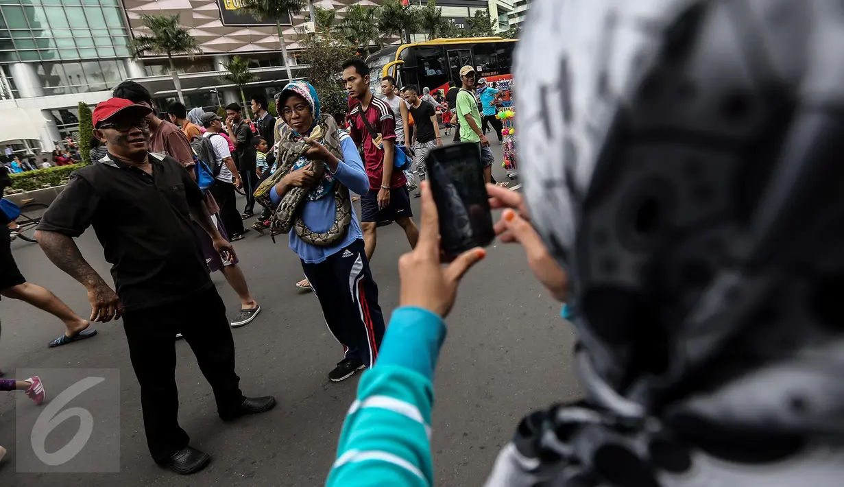 Pengunjung Car Free Day (CFD) tengah asik melilitkan ular ke badannya sementara temannya mengabadikan momen tersebut dengan kamera ponsel di kawasan Bundaran HI, Jakarta, Minggu (29/1). (Liputan6.com/Faizal Fanani)