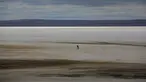 Seorang pria berjalan di sepanjang danau Tuz di provinsi Ankara, Turki pada 25 Oktober 2021. Danau terbesar kedua di Turki dan rumah bagi beberapa spesies burung telah sepenuhnya surut tahun ini akibat perubahan iklim yang melanda wilayah tersebut.  (AP Photo/Emrah Gurel)