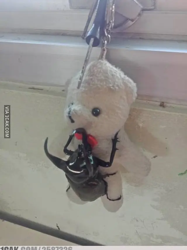 6 Boneka Nyeleneh Ini Bisa Jadi Suvenir Nikahan, Bentuknya Kocak