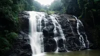 The best places to visit in Coorg. (Photo: Priyanka Neve/Unsplash)