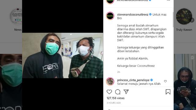 Steven & Coconut Treez