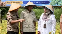 HKTI: Kalau Produksi Beras Naik, Swasembada Bukan Lagi Wacana