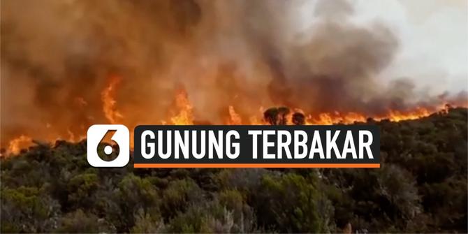 VIDEO: Gunung Kilimanjaro Kebakaran, 500 Relawan Padamkan Api