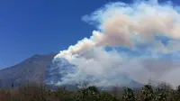 Kebakaran melanda hutan di lereng Gunung Agung yang terletak di Kabupaten Karangasem, Bali. (Foto: Istimewa/BNPB)