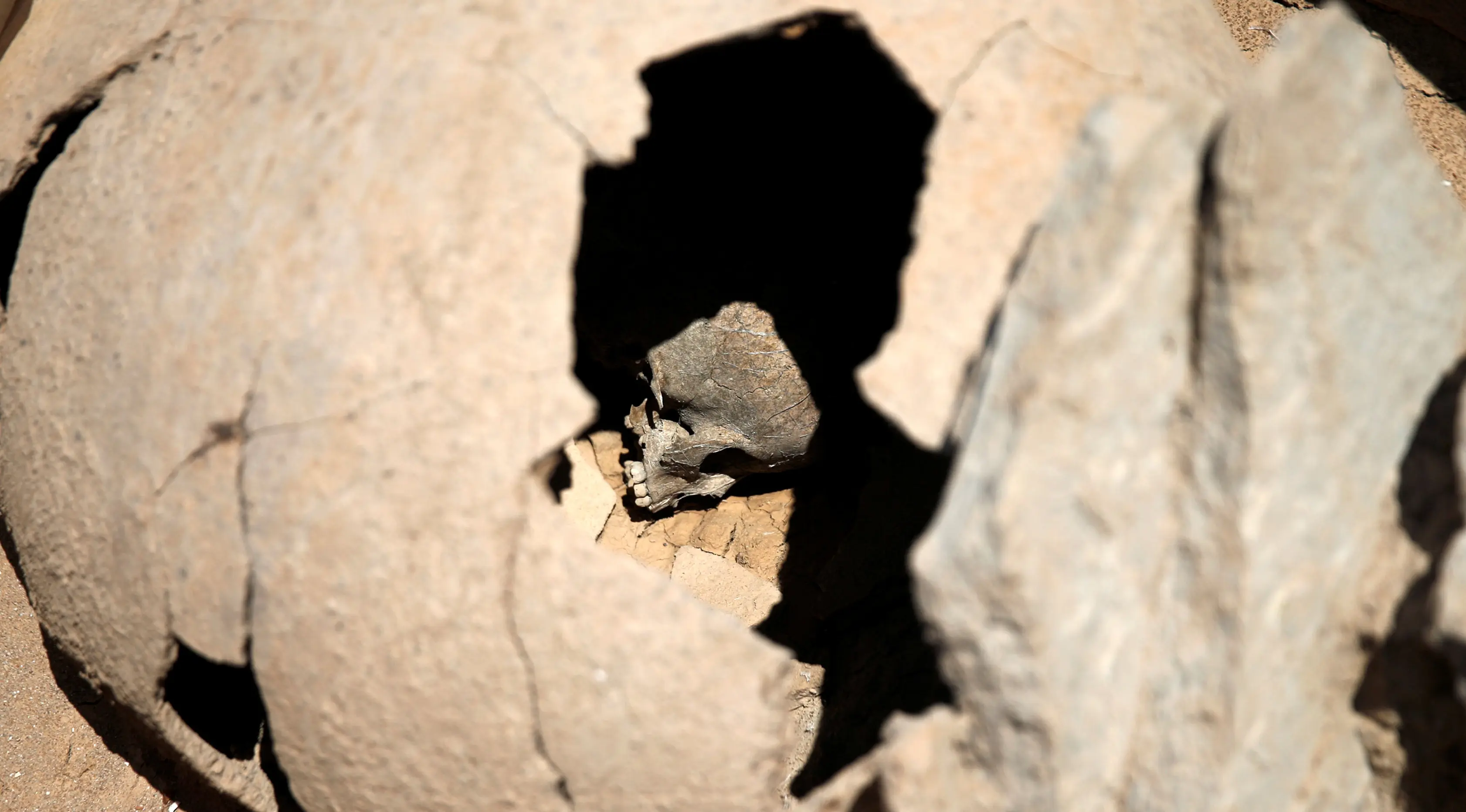 Tengkorak seorang anak terlihat dalam sebuah guci tanah liat, di pemakaman Falyron Delta kuno di Athena, Yunani, 27 Juli 2016. Diduga ini merupakan bukti tradisi Yunani Kuno dalam menguburkan anak-anak dan bayi laki-laki. (REUTERS/Alkis Konstantinidis)