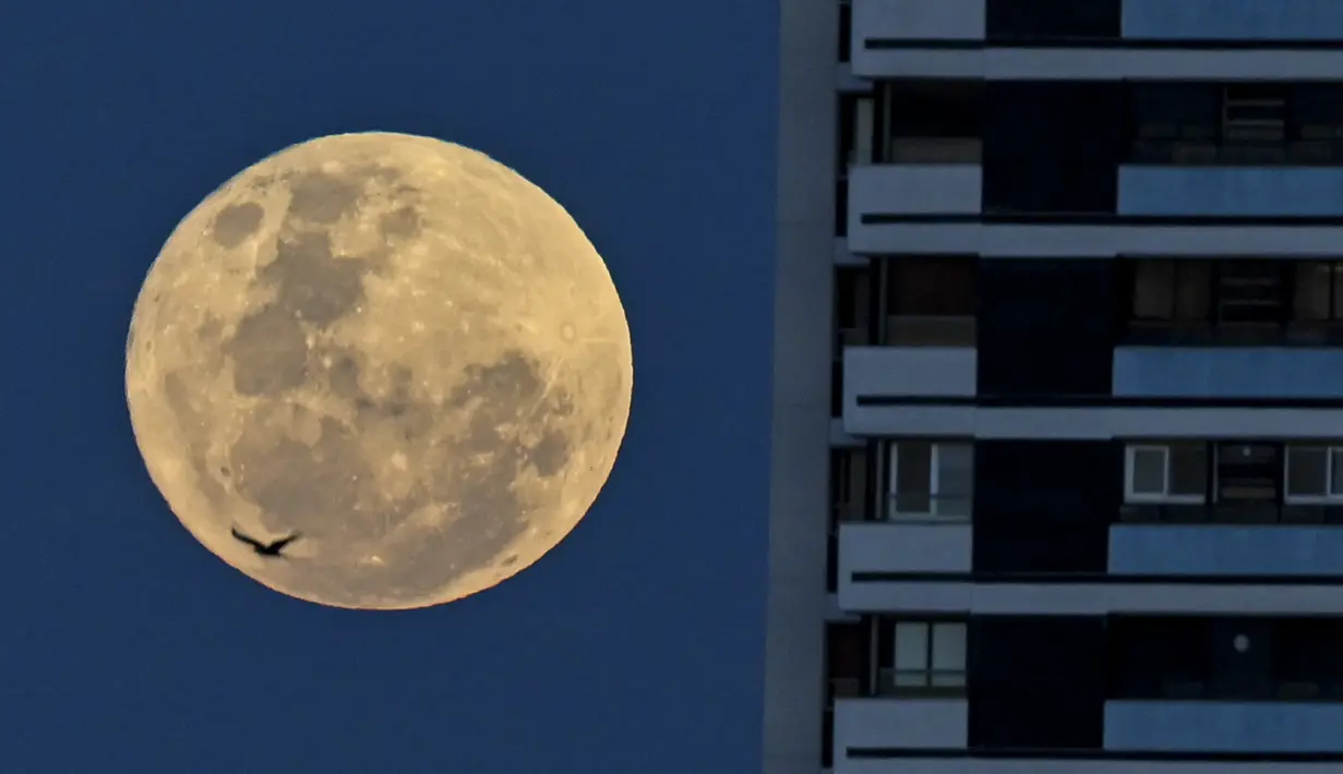 Bulan purnama muncul di atas Buenos Aires, Argentina, Rabu (13/7/2022). Bulan Purnama dikenal sebagai Buck Moon dan juga Supermoon. Di kondisi ini Bulan akan terlihat tampak lebih besar dan terang sehingga terasa sangat dekat dari Bumi. (Luis ROBAYO / AFP)