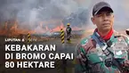 Kebakaran hutan dan lahan yang terjadi di kawasan Gunung Bromo telah mencapai 80 hektare. Upaya pemadaman terkendala embusan angin kencang.