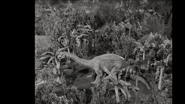 Foto: copyright toptenz.net