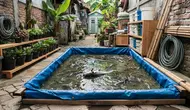 Lele Sering Mati Mendadak di Kolam Terpal? Kenali Penyebab dan Cara Mencegahnya