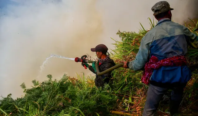 Karhutla Gunung Bromo Meluas Hingga Probolinggo