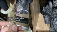 Ular kobra bersembunyi dalam lemari pakaian. (Sumber: TikTok/@venocobra)