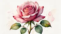 How To Draw A Rose: A 10-Steps Guide And Tips For Beginners