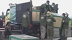 liputan6