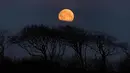 Fenomena super snow moon terlihat di langit Whitley Bay, Inggris, Selasa (19/2). Super snow moon adalah fenomena bulan penuh paling terang sepanjang tahun. (Owen Humphreys/PA via AP)