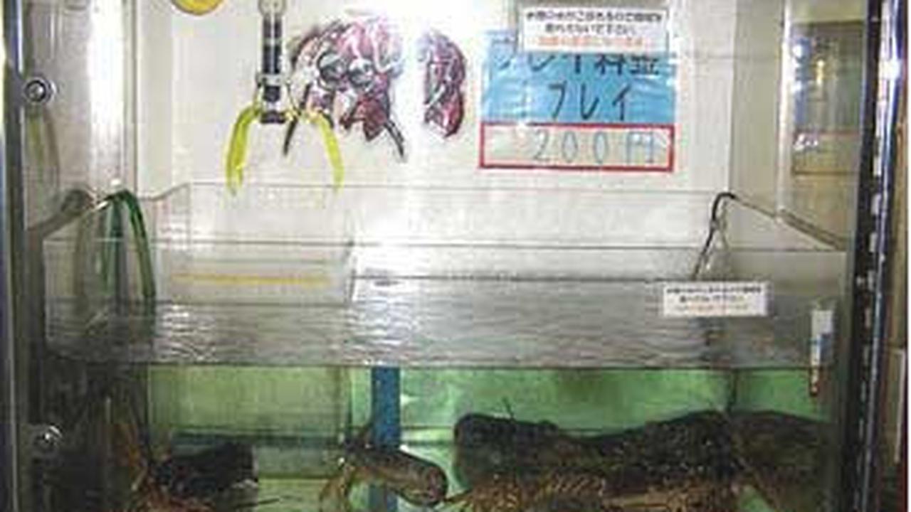 Jidohanbaiki
