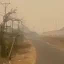 Kebakaran Hutan Papua, Kabut Asap Selimuti Mimika
