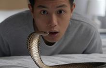 Cara Mencegah Ular Masuk Rumah Cukup Pelihara Hewan ini Dijamin Ampuh