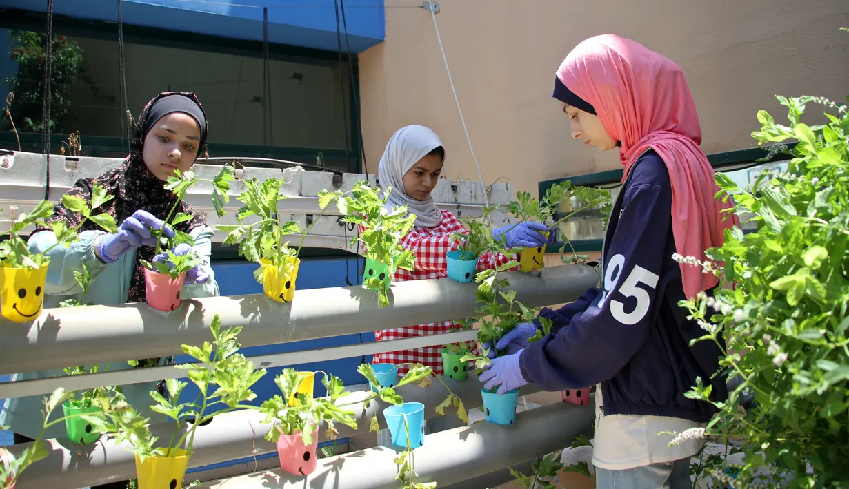 Anak-anak Palestina merawat tanaman dalam cangkir plastik di Pusat Anak-Anak Al-Qattan, Gaza City, Senin (20/7/2020). Anak-anak Palestina belajar bagaimana memanfaatkan kembali botol dan wadah plastik bekas untuk dekorasi taman. (Xinhua/Rizek Abdeljawad)