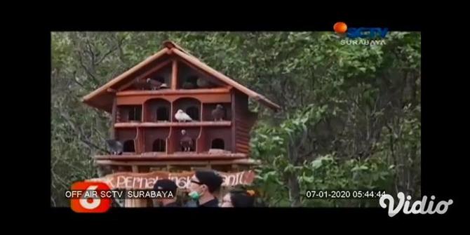VIDEO: Rawa Kumuh di Banyuwangi Disulap Jadi Wisata Keluarga