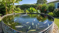 12 Tips Memanfaatkan Tandon Bekas Menjadi Kolam Gurame Produktif di Rumah, Simak Caranya