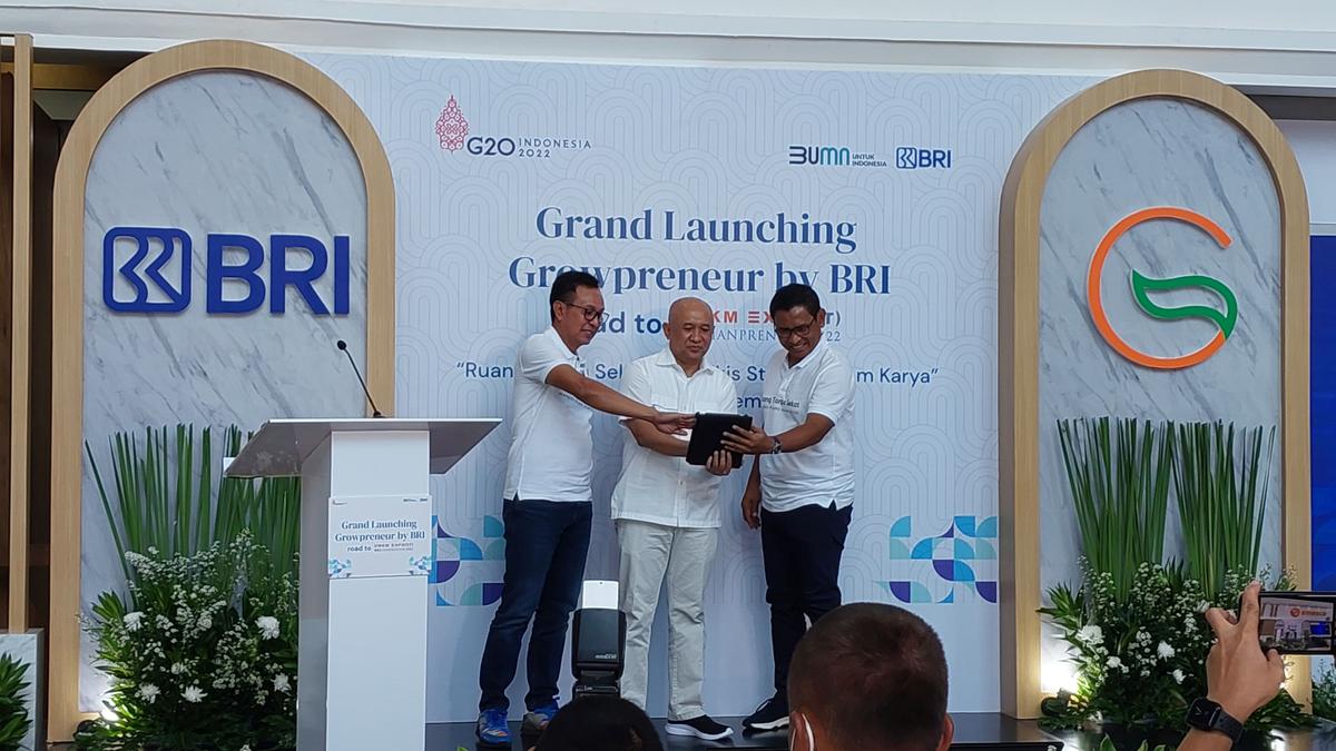 Menteri Teten Sebut BRI Bisa Jadi Bank Raksasa dengan Pengembangan UMKM - Vimarsana News
