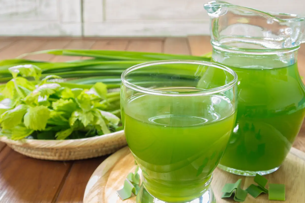 seledri pandan jus sayur hijau sehat
