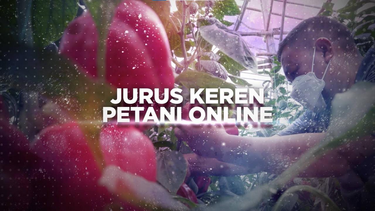VIDEO: Kisah Petani Sukses Raih Untung Lewat Cara Mudah dan Modern, Ini Rahasianya