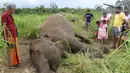 Penduduk desa berdiri melihat mayat gajah yang sedang berbaring di ladang dekat desa Sigiriya, sekitar 177 km utara ibukota Kolombo (27/9/2019). Kabarnya, hampir 200 gajah sudah terbunuh setiap tahunnya di Sri Lanka. (AFP/STR)