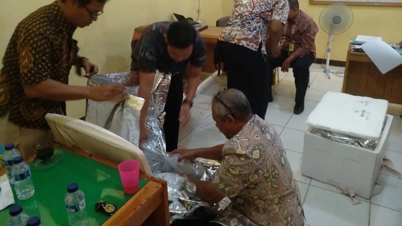 Pemerintah Gagalkan Upaya Penyelundupan Lobster di Jambi (Foto: dok KKP)