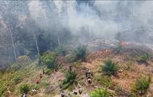 Penerjun Freefall Disiagakan untuk Tangani Karhutla Riau
