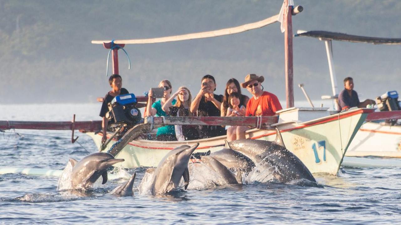 Pantai Lovina: Bisa Lihat Aksi Lumba-Lumba<br>