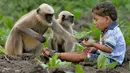 Dalam foto yang diambil 8 Desember 2017, Samarth Bangari (2) memberi makan kumpulan monyet di sebuah ladang dekat rumahnya di Allapur, India. Uniknya, kelompok monyet itu setiap hari datang ke rumah Bangari yang berada di tepi hutan. (Manjunath KIRAN/AFP)