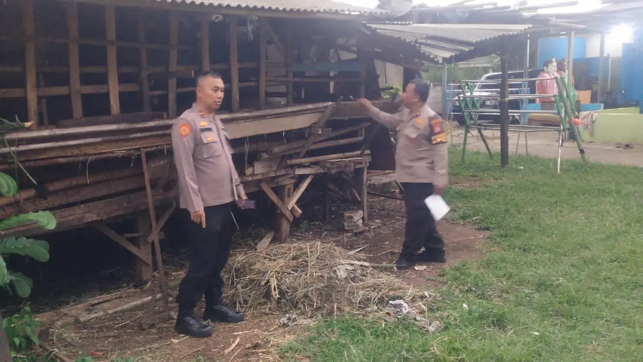 Anggota Polsek Bojongsari melakukan pengecekan pencurian 8 kambing menyisakan jeroan dalam kandang di wilayah Pengasinan, Sawangan, Depok. (Istimewa)
