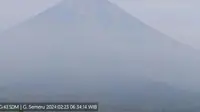 Gunung Semeru kembali erupsi,letusan abu vulkanik setinggi 400 meter (Istimewa)