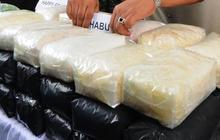 Pakai narkoba, perwira polwan tak ditahan