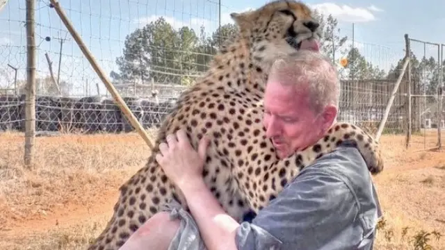 Dolph bersama sahabat Cheetahnya Gabriel (Image: Dolph C. Volker / Barcroft Images)