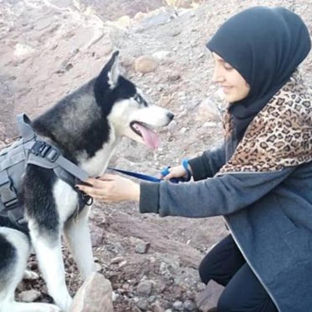 Husky