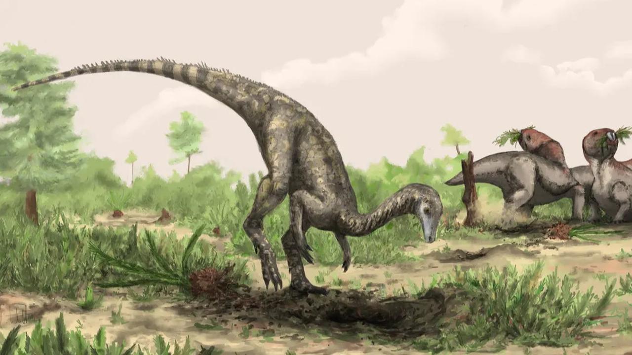 Ilmuwan Ungkap di Hutan Amazon Kemungkinan Terkubur Fosil Dinosaurus Tertua yang Pernah Ada, Ini Alasannya