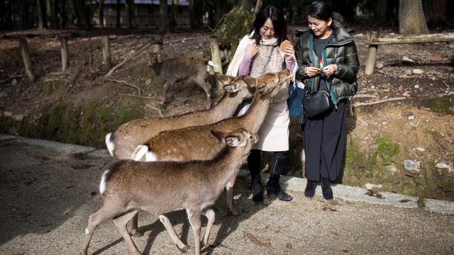 Taman Nara, Jepang